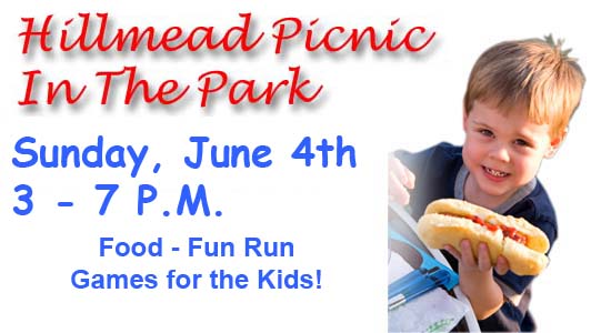 webassets/picnic2011.jpg